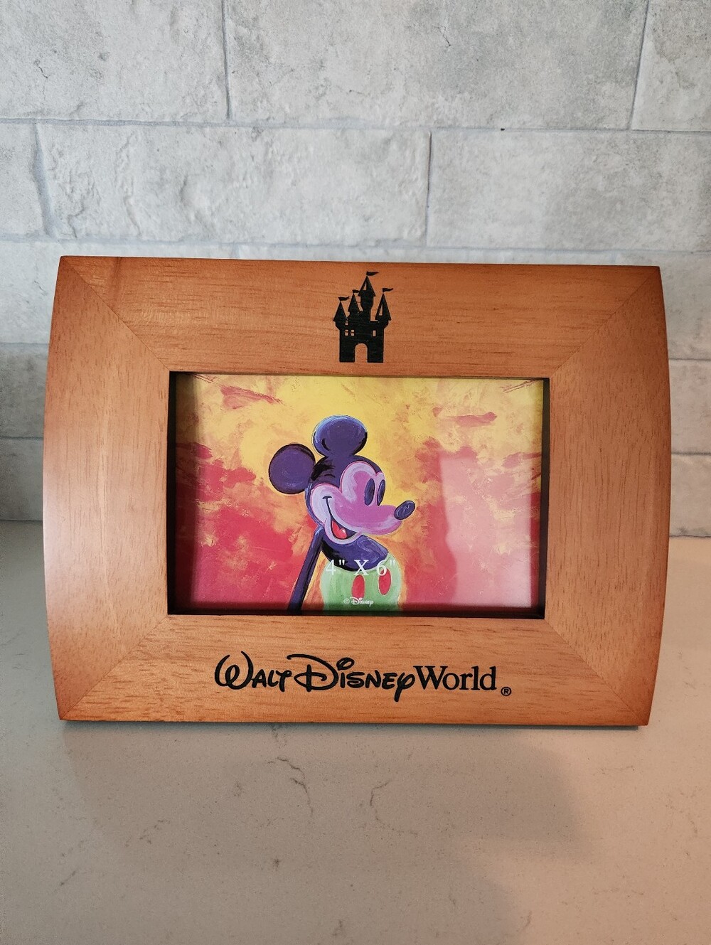 Walt Disney World Wooden 4"x6" Frame
